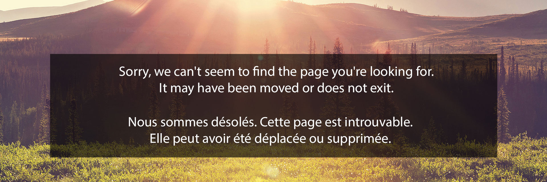 Sorry, we can't seem to find the page you're looking for. It may have been moved or does not exit.